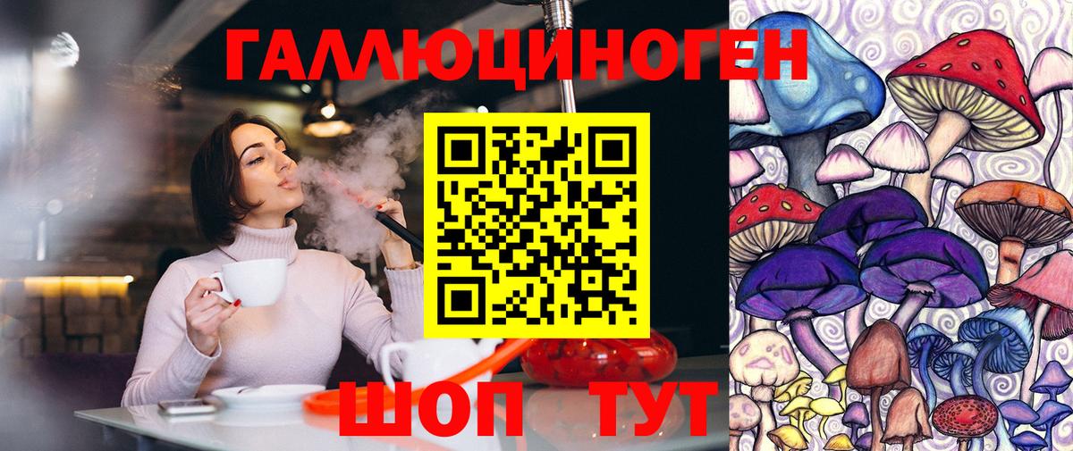 Псилоцибиновые грибы Psilocybine cubensis Аксай