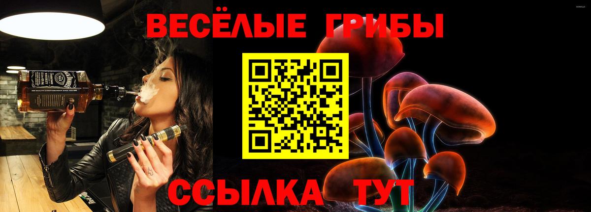 Аксай  Галлюциногенные грибы ЛСД  где купить наркоту  Вход с VPN 