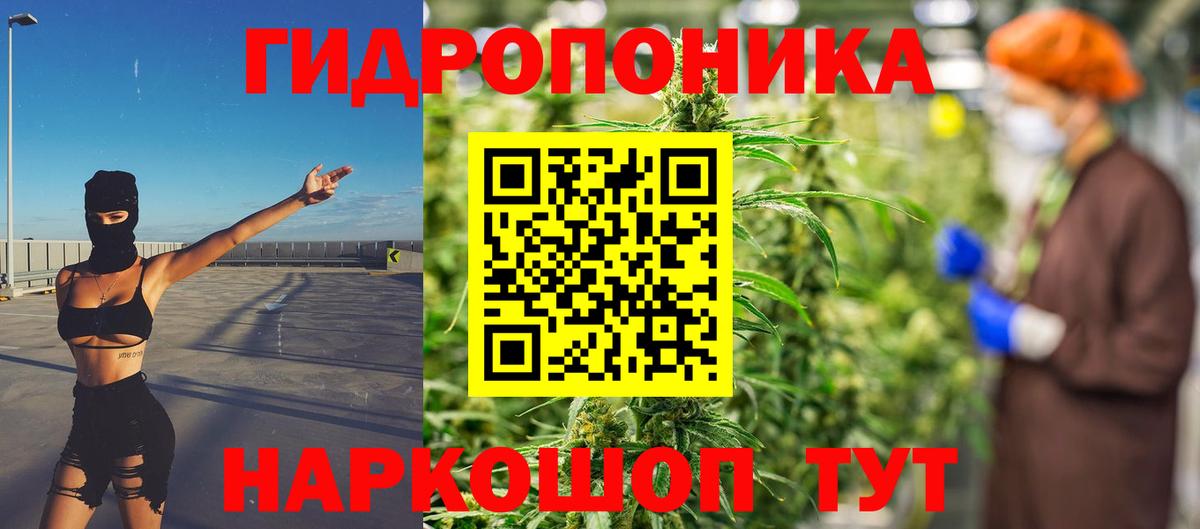Марихуана конопля Аксай